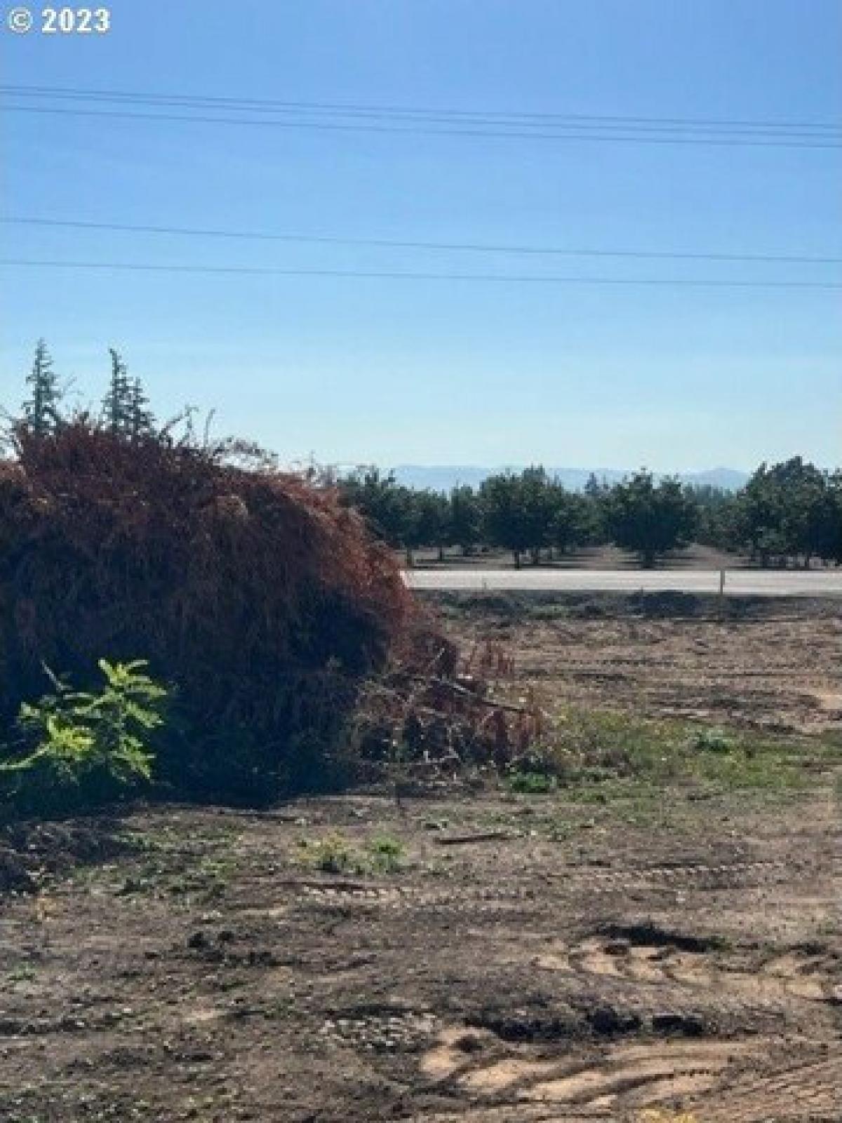 Picture of Residential Land For Sale in Woodburn, Oregon, United States