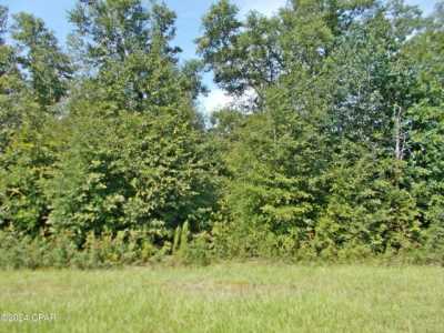 Residential Land For Sale in Alford, Florida