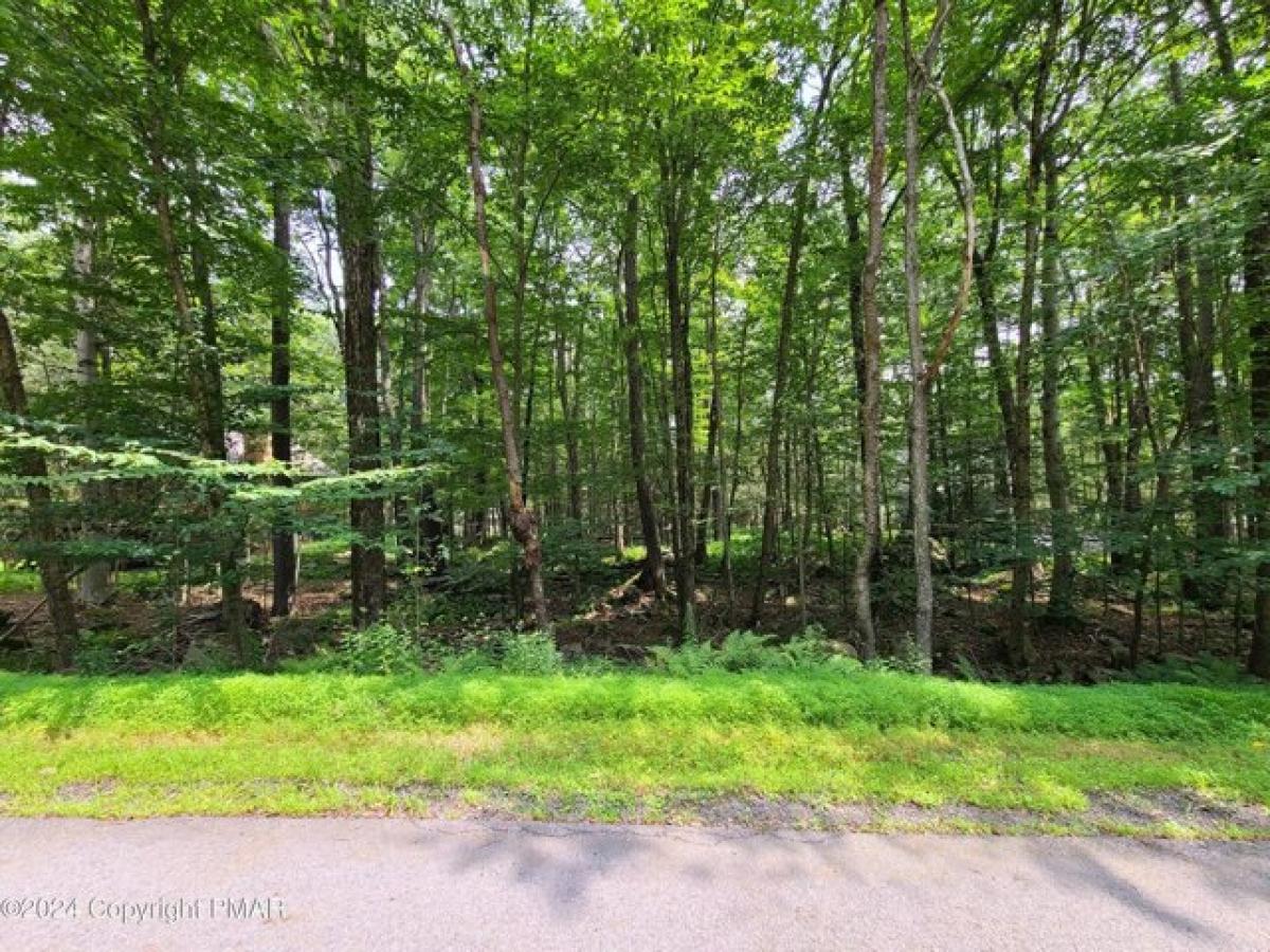 Picture of Residential Land For Sale in Gouldsboro, Pennsylvania, United States