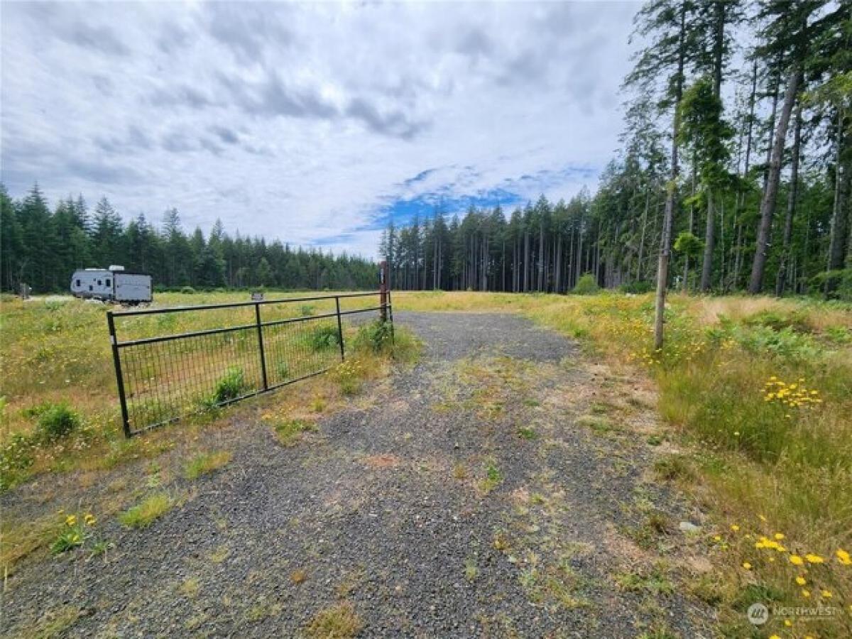 Picture of Residential Land For Sale in Shelton, Washington, United States