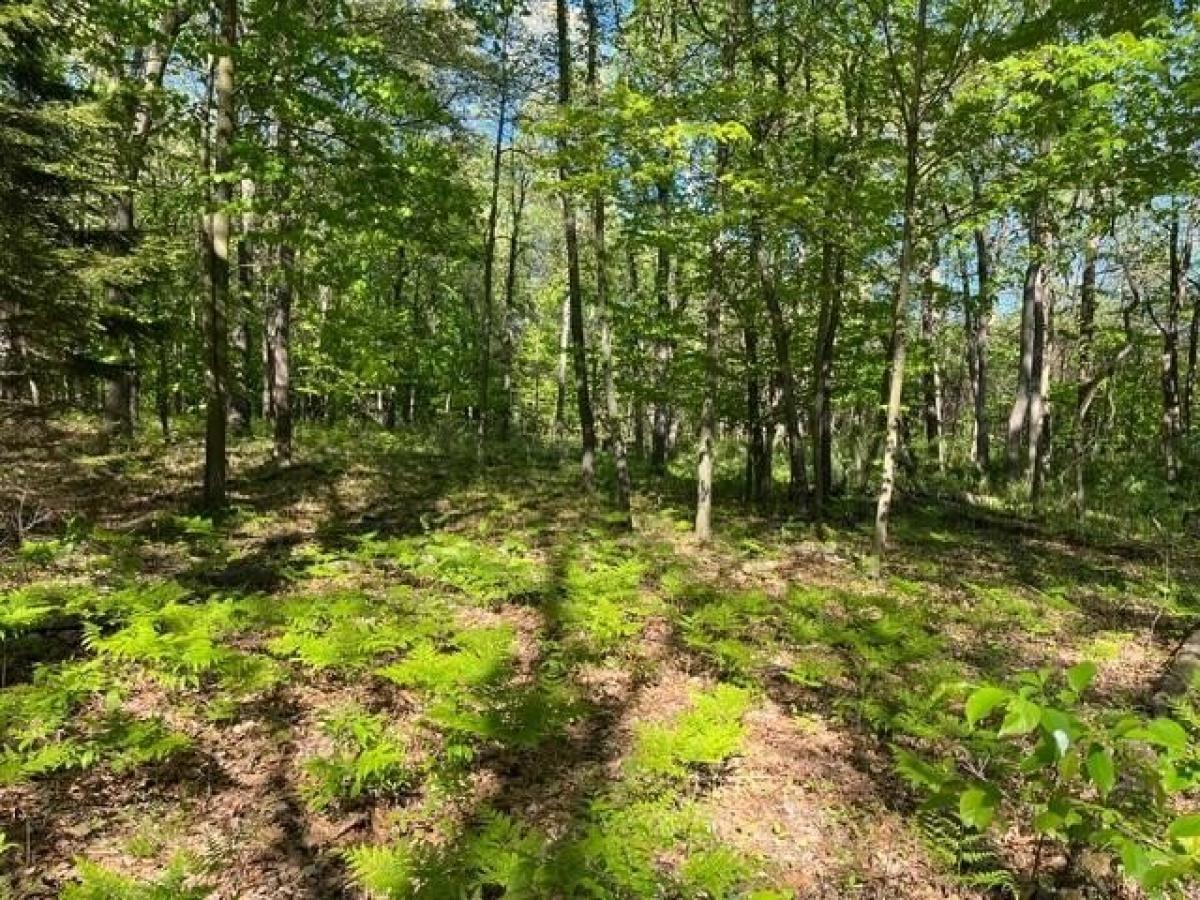 Picture of Residential Land For Sale in Fennville, Michigan, United States