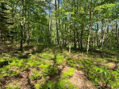 Residential Land For Sale in Fennville, Michigan