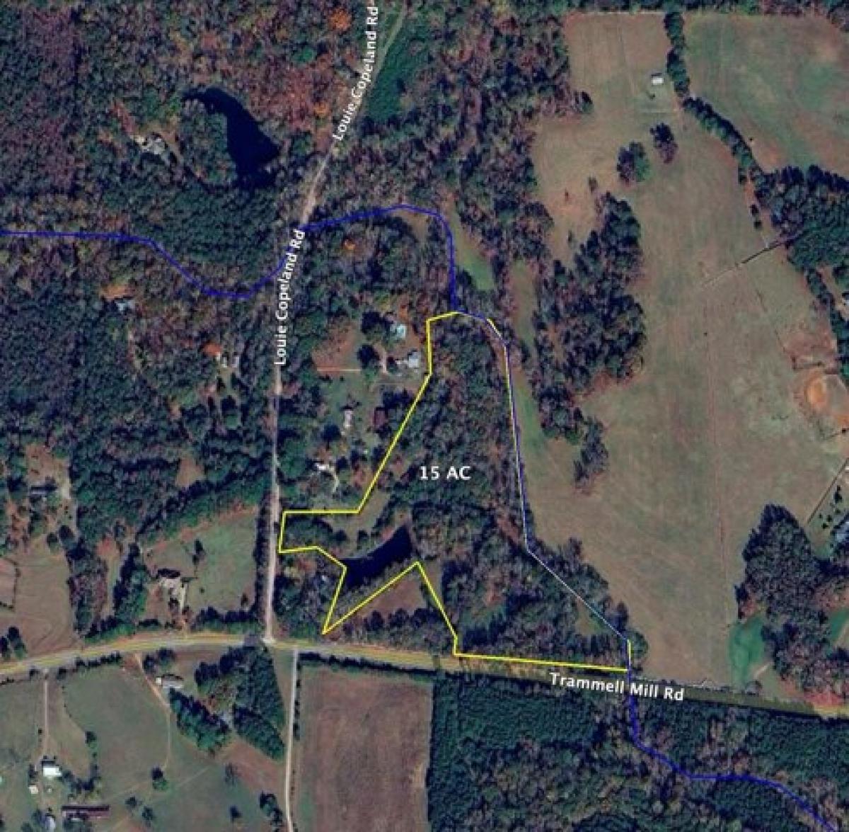 Picture of Residential Land For Sale in Shiloh, Georgia, United States