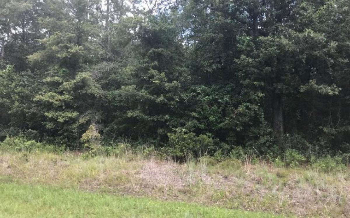 Picture of Residential Land For Sale in Lake City, Florida, United States