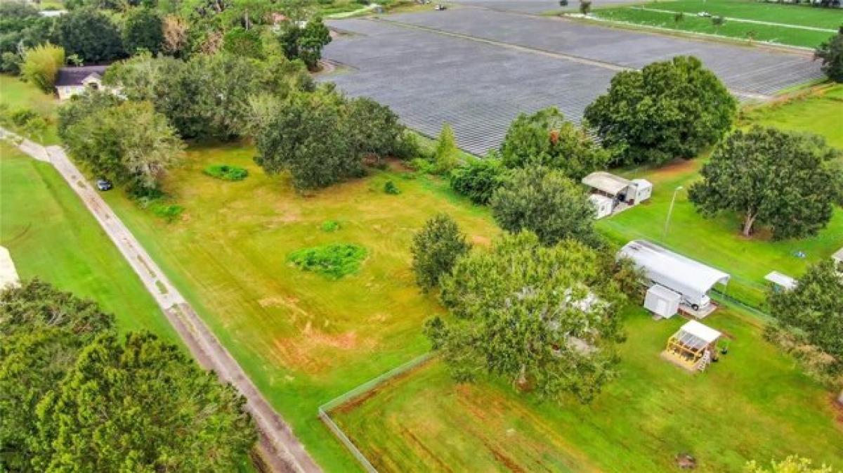 Picture of Residential Land For Sale in Dover, Florida, United States