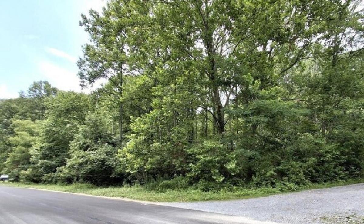 Picture of Residential Land For Sale in Ripplemead, Virginia, United States