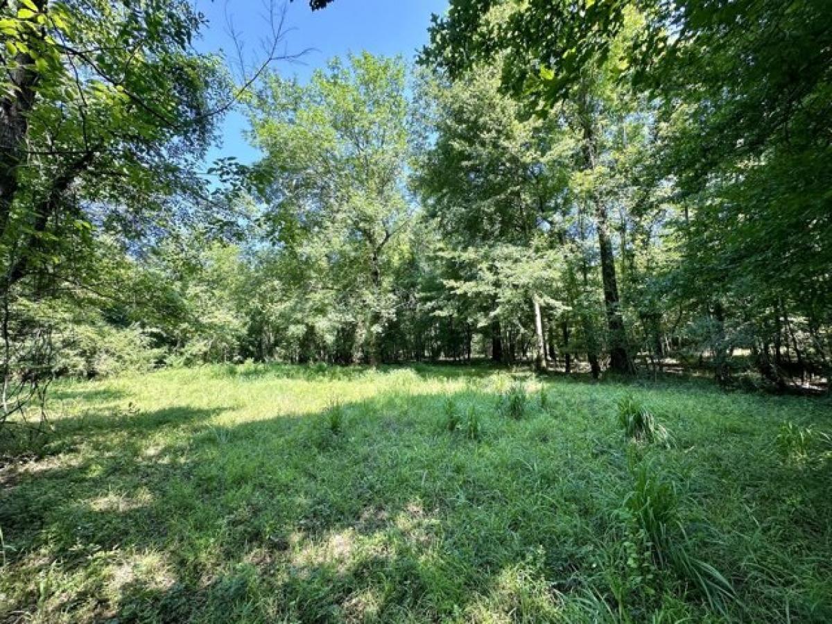 Picture of Residential Land For Sale in Lucedale, Mississippi, United States