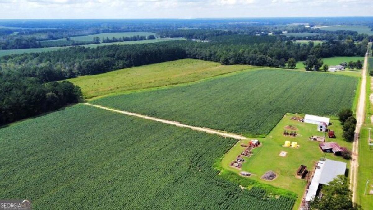 Picture of Residential Land For Sale in Statesboro, Georgia, United States