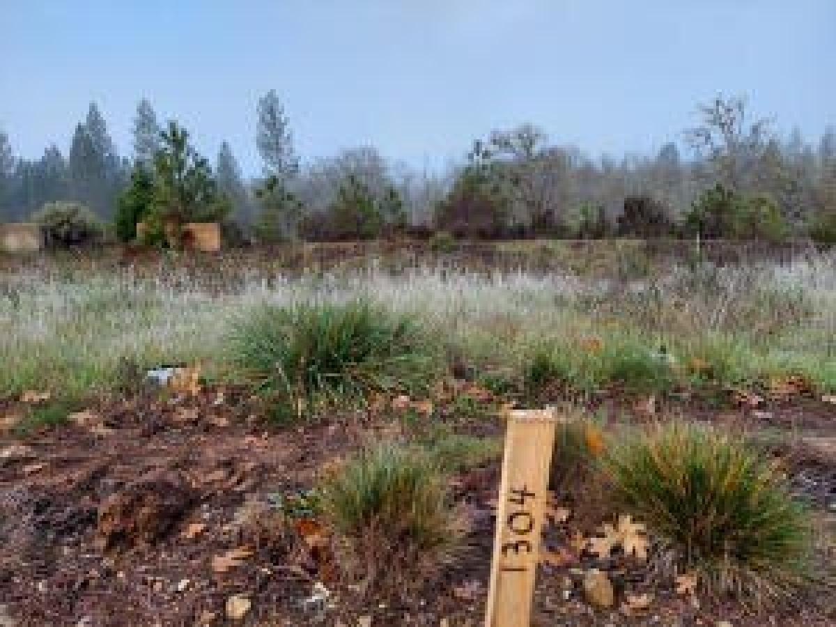 Picture of Residential Land For Sale in Cave Junction, Oregon, United States