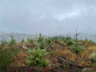 Residential Land For Sale in Pe Ell, Washington