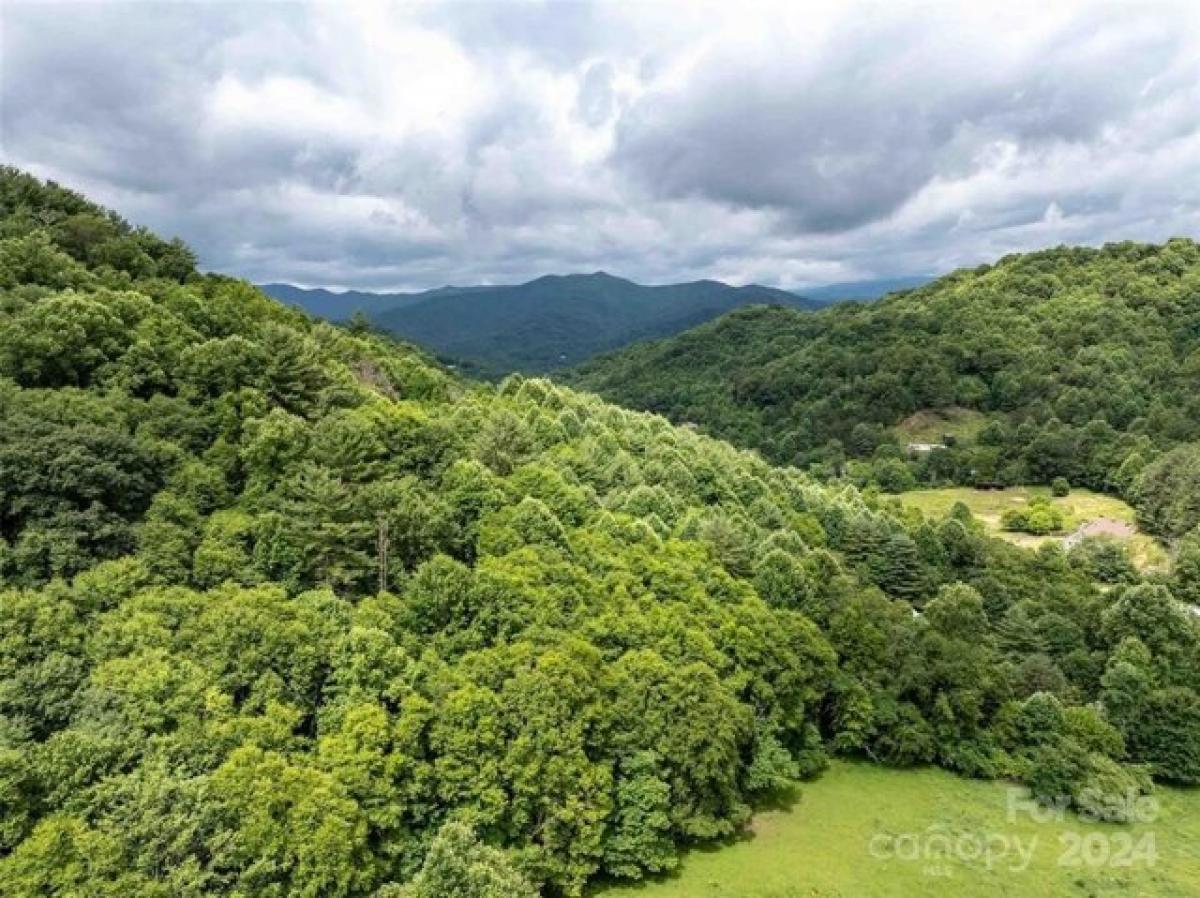 Picture of Residential Land For Sale in Clyde, North Carolina, United States