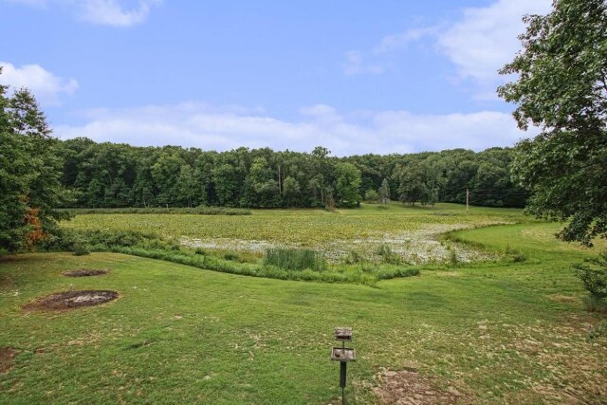 Picture of Home For Sale in Berrien Springs, Michigan, United States