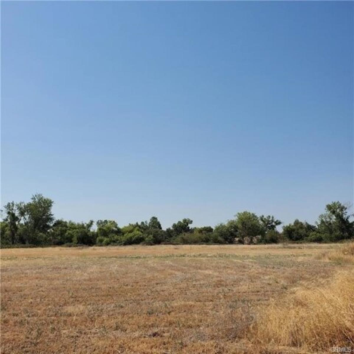 Picture of Residential Land For Sale in Snelling, California, United States