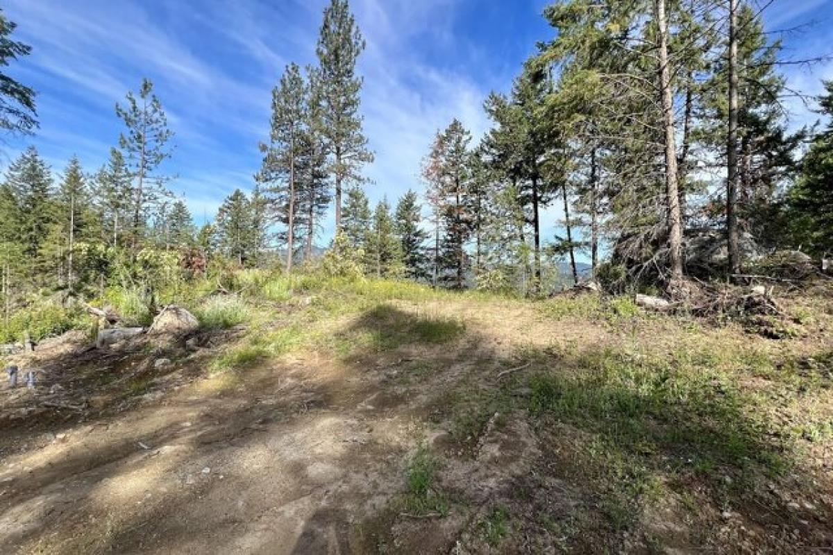 Picture of Residential Land For Sale in Sagle, Idaho, United States