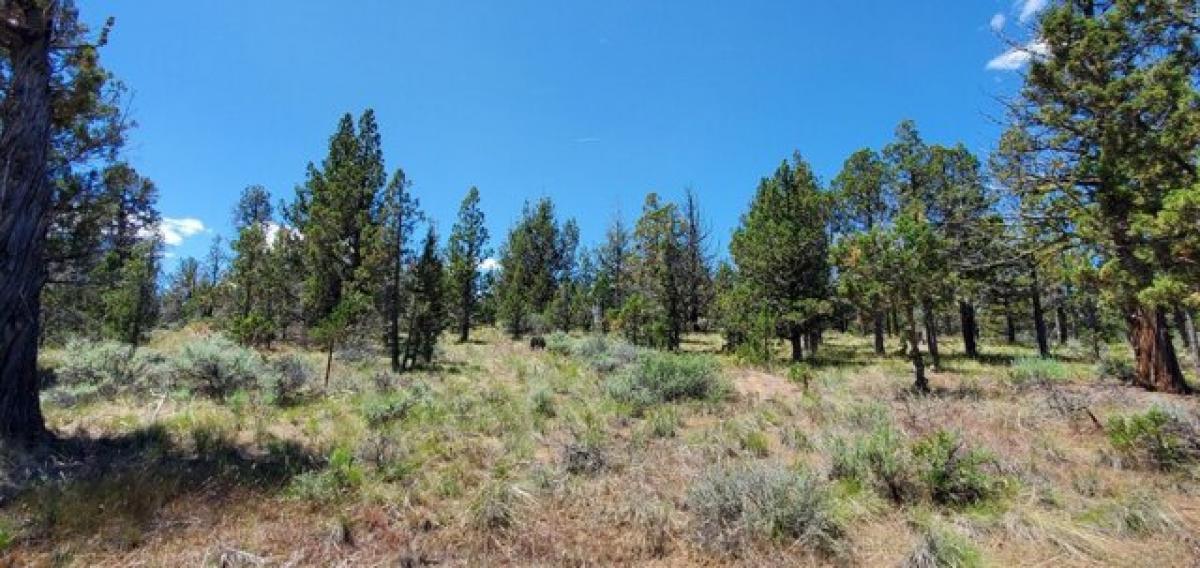 Picture of Residential Land For Sale in Prineville, Oregon, United States