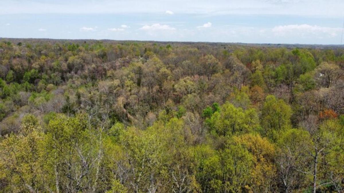 Picture of Residential Land For Sale in Frenchburg, Kentucky, United States