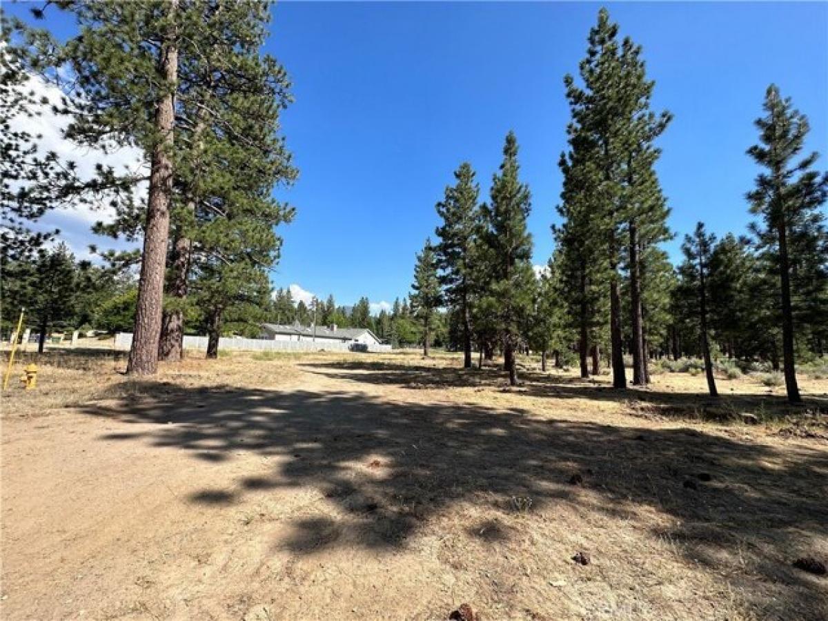 Picture of Residential Land For Sale in Big Bear Lake, California, United States