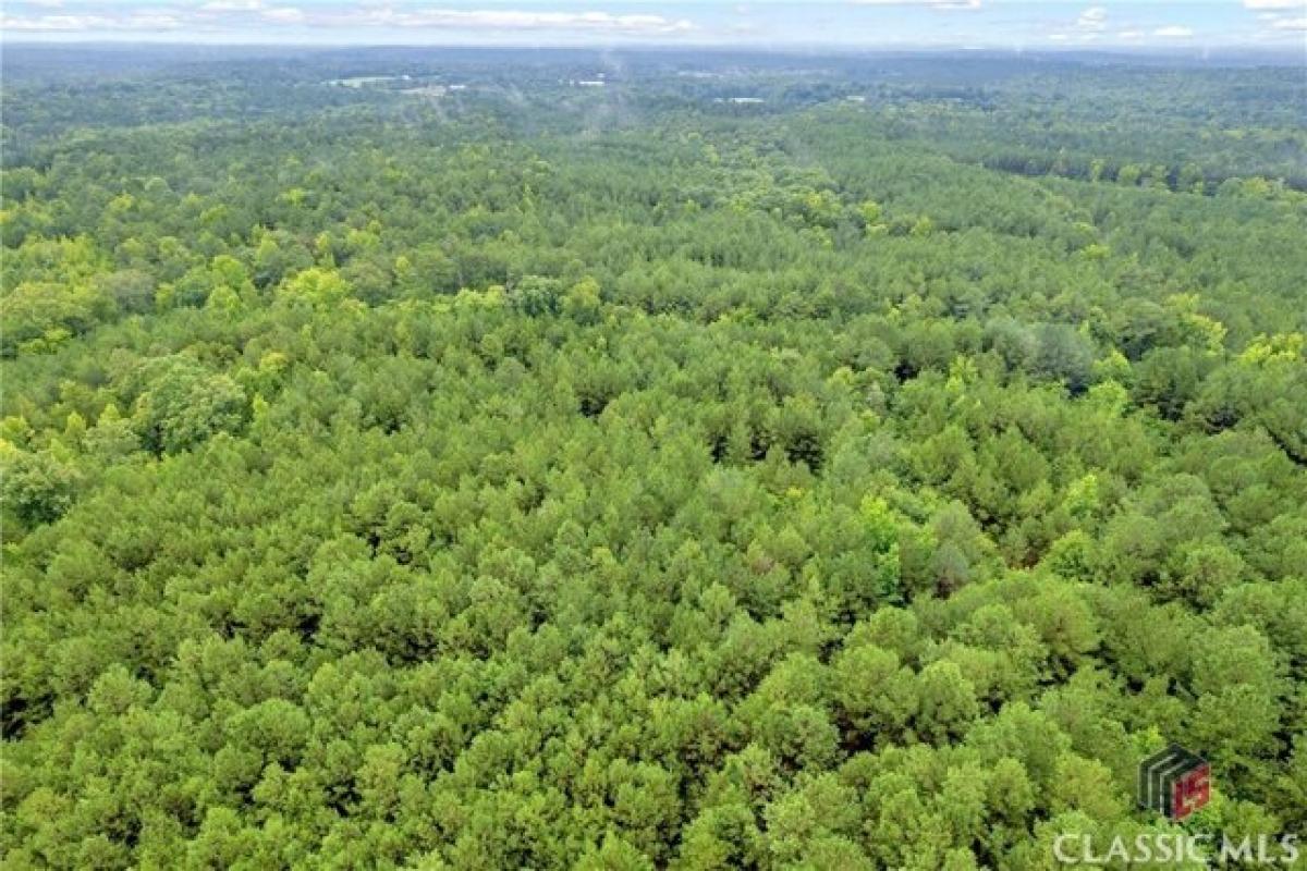 Picture of Residential Land For Sale in Elberton, Georgia, United States