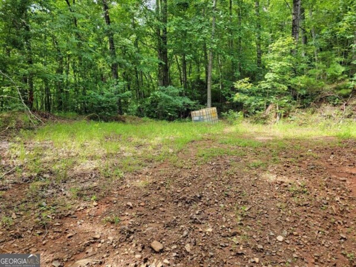 Picture of Residential Land For Sale in Hiawassee, Georgia, United States