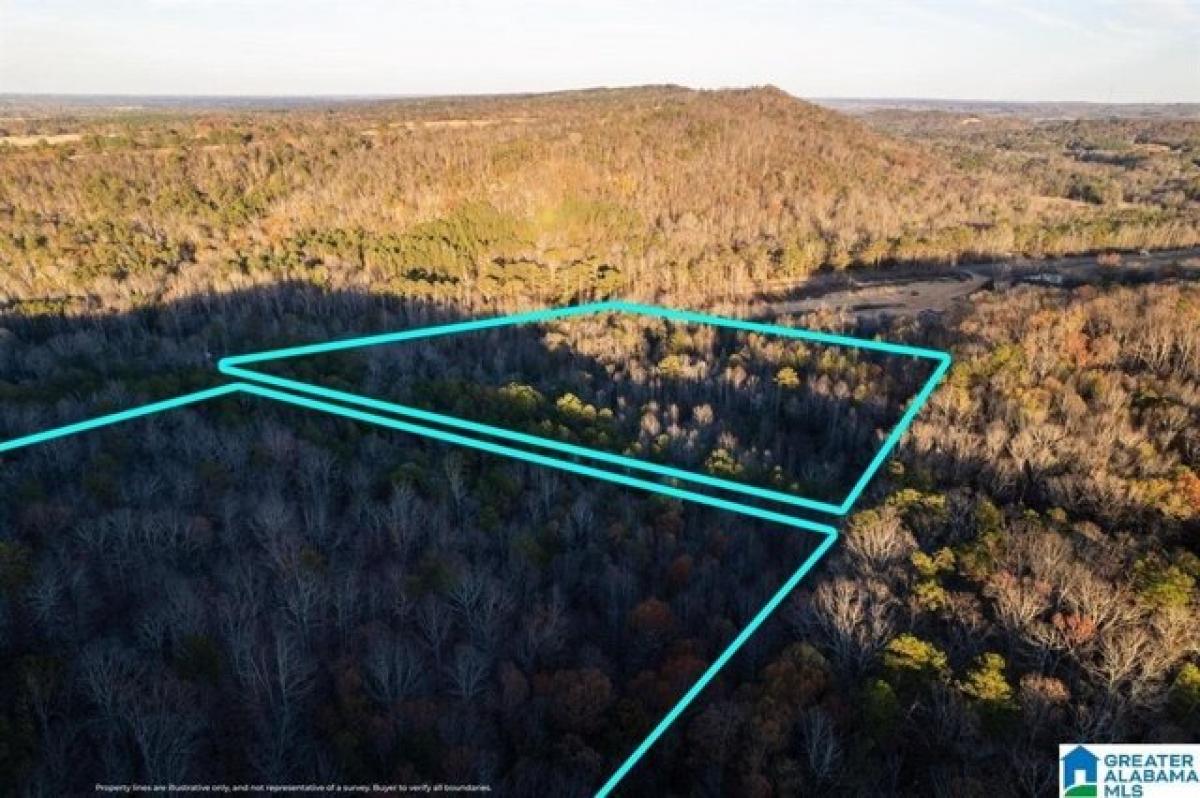 Picture of Residential Land For Sale in Altoona, Alabama, United States