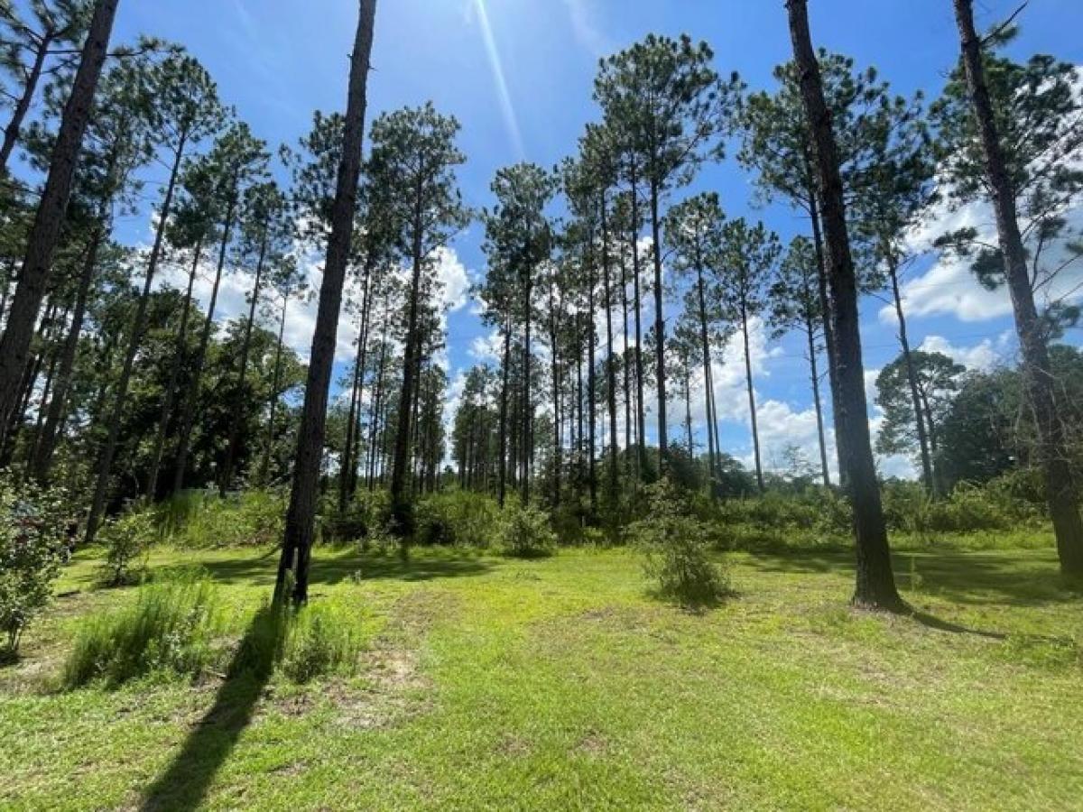 Picture of Home For Sale in Moultrie, Georgia, United States