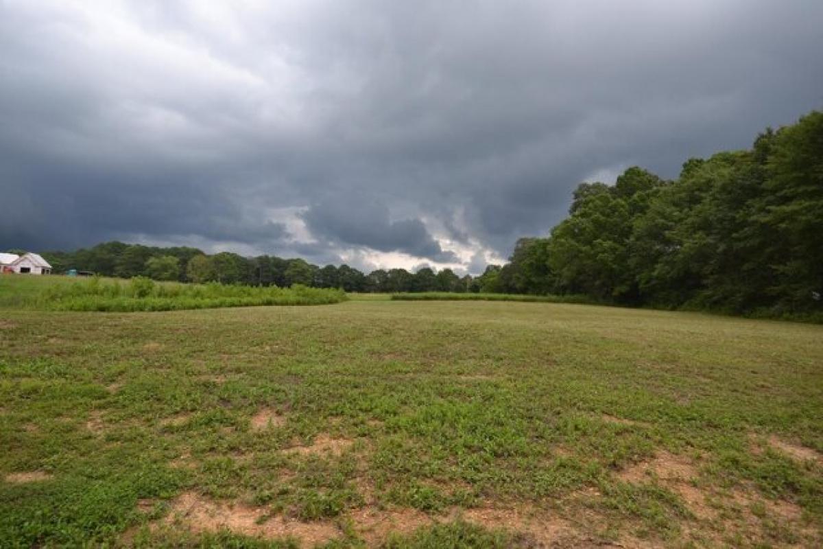 Picture of Residential Land For Sale in Cullman, Alabama, United States