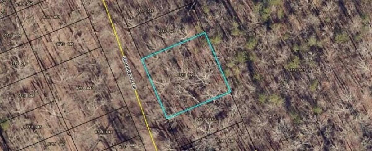 Picture of Residential Land For Rent in Martin, Georgia, United States