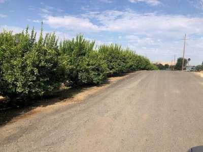 Residential Land For Sale in Springville, California