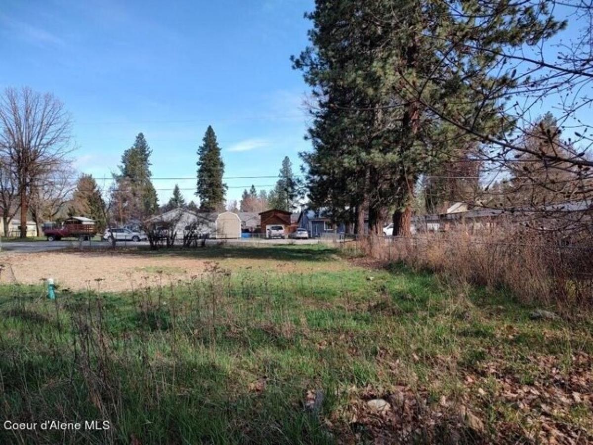 Picture of Residential Land For Sale in Priest River, Idaho, United States