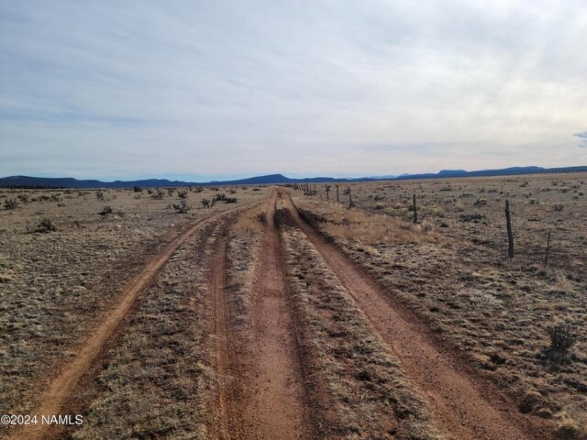 Picture of Residential Land For Sale in Seligman, Arizona, United States