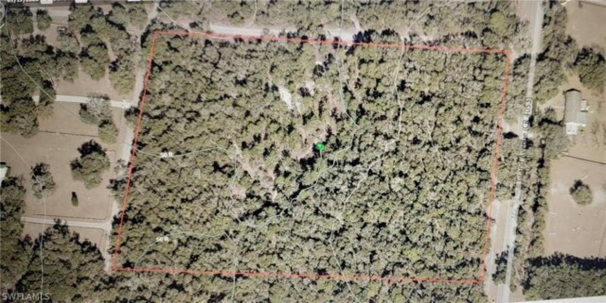 Picture of Residential Land For Sale in Deland, Florida, United States