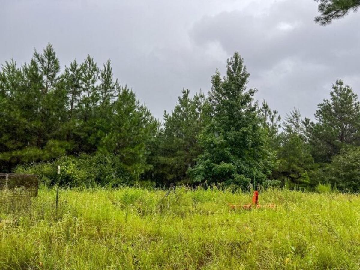 Picture of Residential Land For Sale in Crockett, Texas, United States