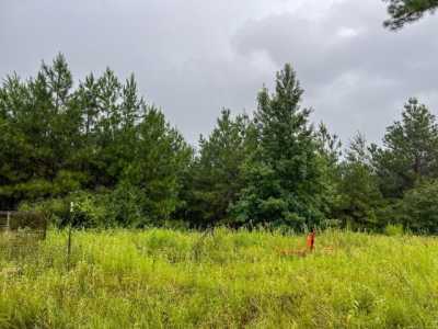 Residential Land For Sale in Crockett, Texas