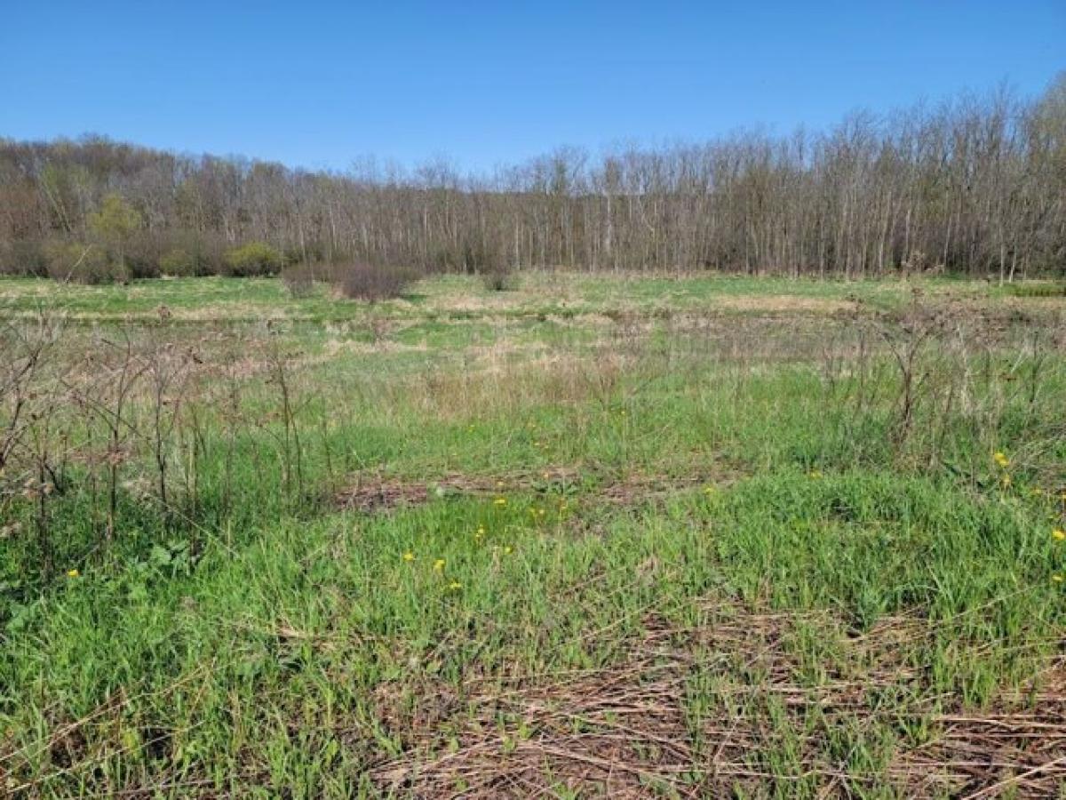 Picture of Residential Land For Sale in Cascade, Wisconsin, United States