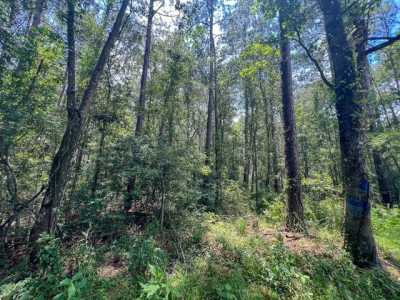 Residential Land For Sale in Mauriceville, Texas