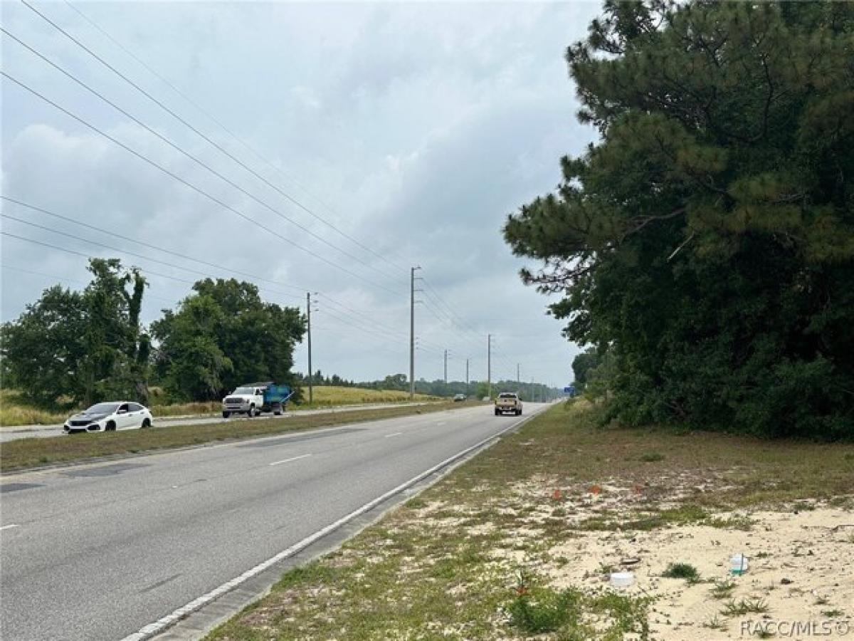 Picture of Residential Land For Sale in Lecanto, Florida, United States