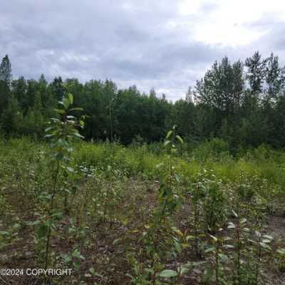 Residential Land For Sale in Willow, Alaska