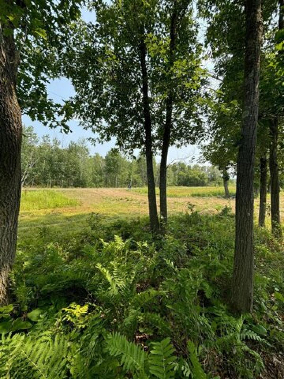 Picture of Residential Land For Sale in Milaca, Minnesota, United States