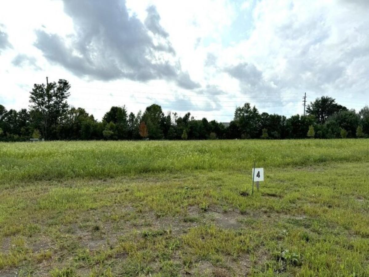 Picture of Residential Land For Sale in Peru, Illinois, United States