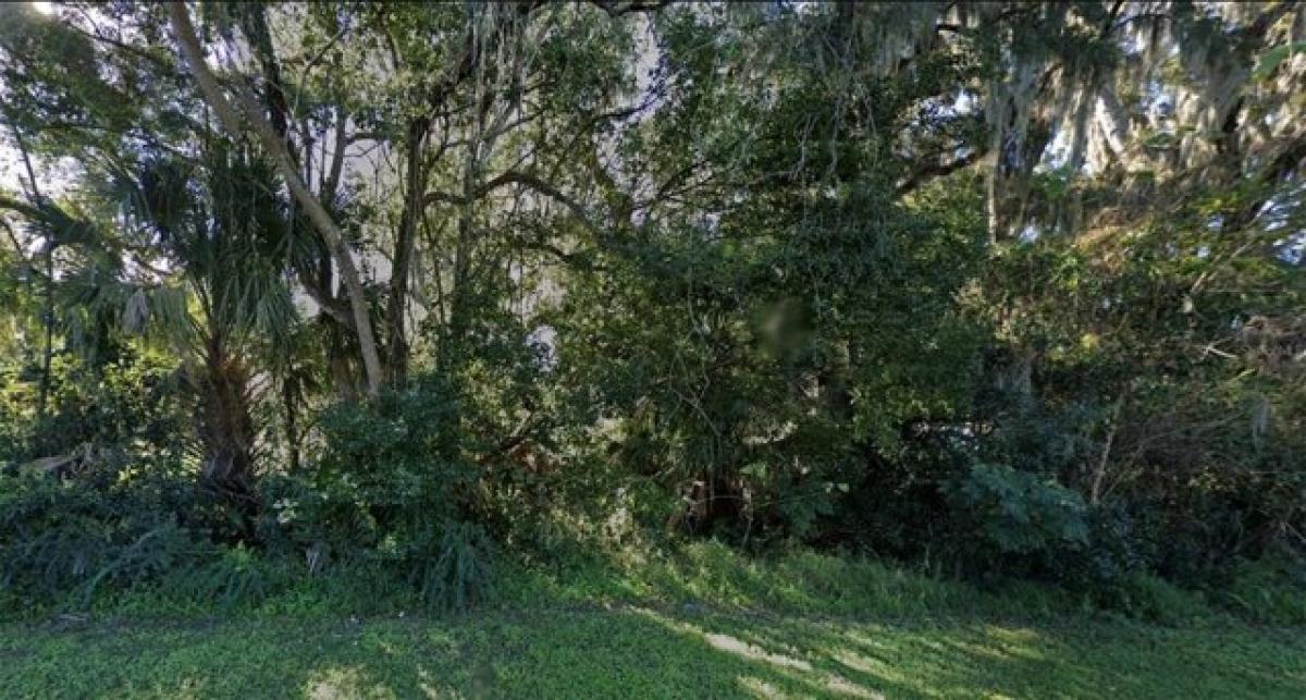 Picture of Residential Land For Sale in Fruitland Park, Florida, United States