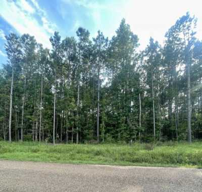 Residential Land For Sale in Doddridge, Arkansas