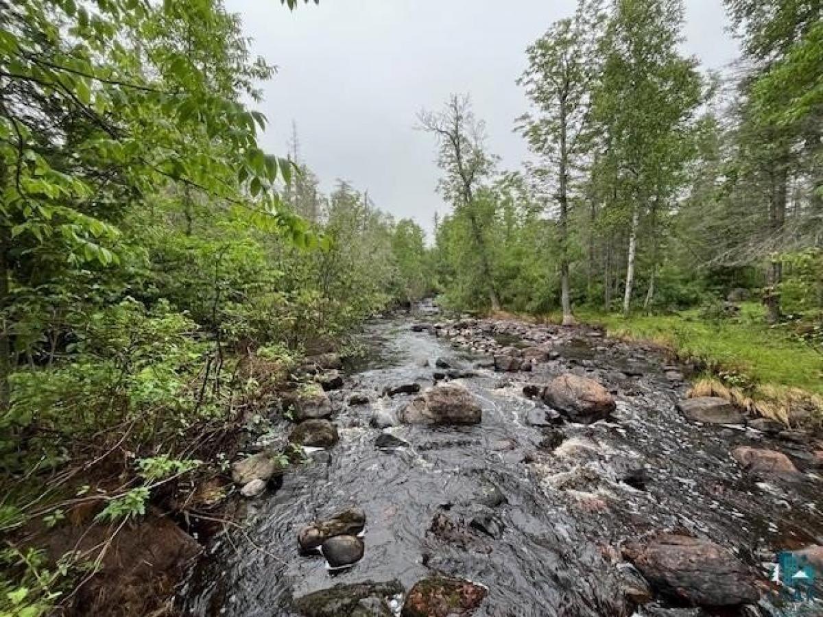 Picture of Residential Land For Sale in Finland, Minnesota, United States