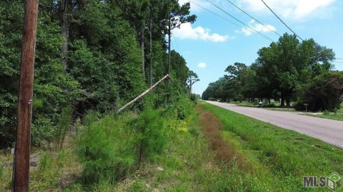 Picture of Residential Land For Sale in Tickfaw, Louisiana, United States