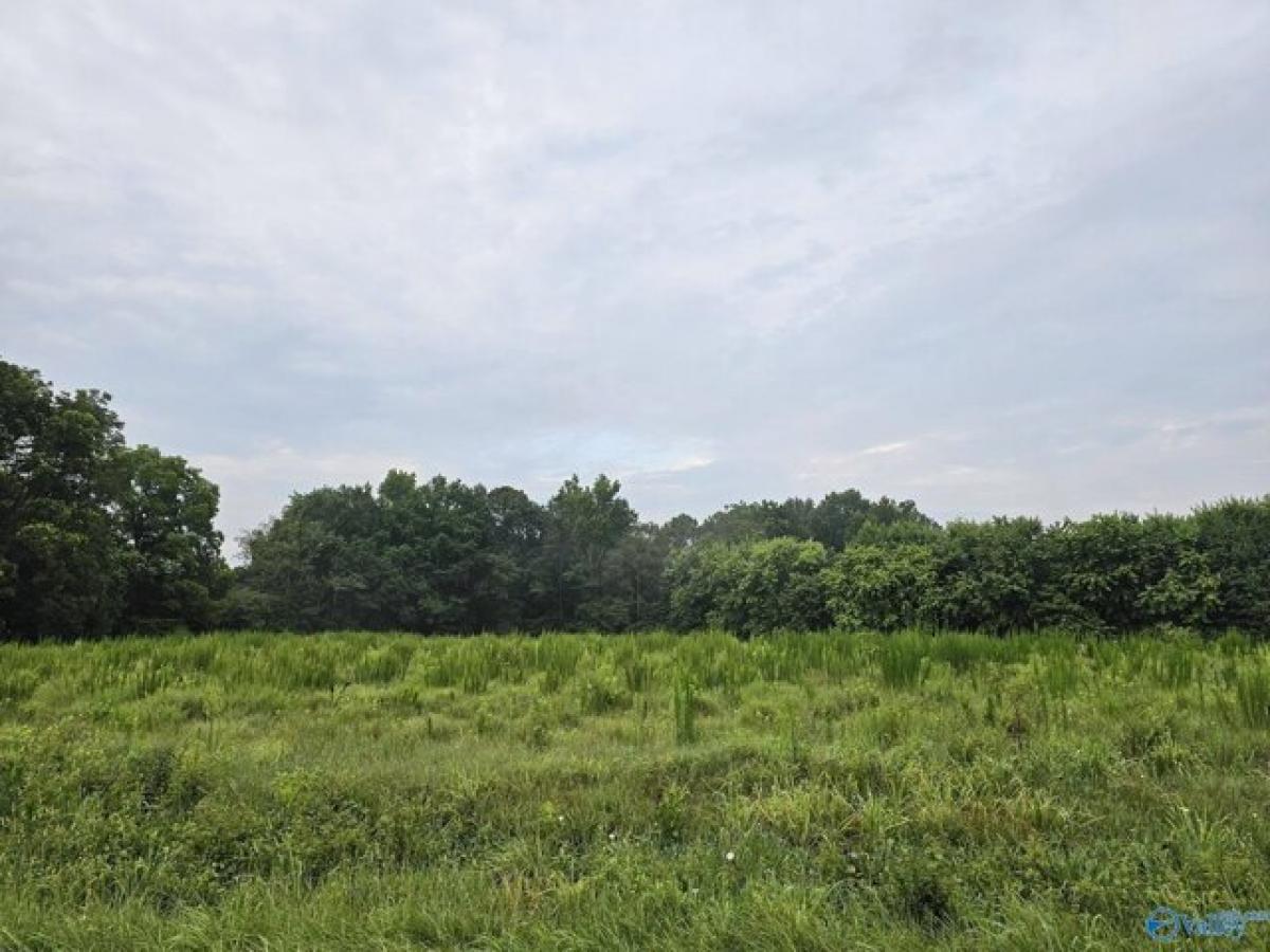 Picture of Residential Land For Sale in Arab, Alabama, United States