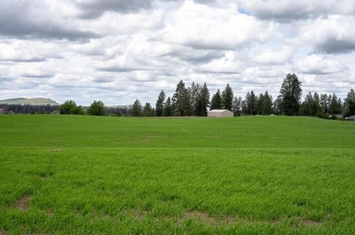 Picture of Residential Land For Sale in Medical Lake, Washington, United States