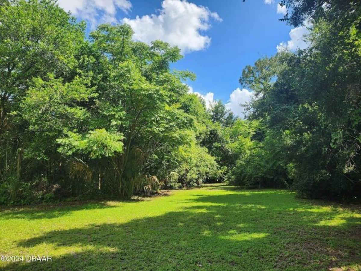 Picture of Residential Land For Sale in Lake Helen, Florida, United States