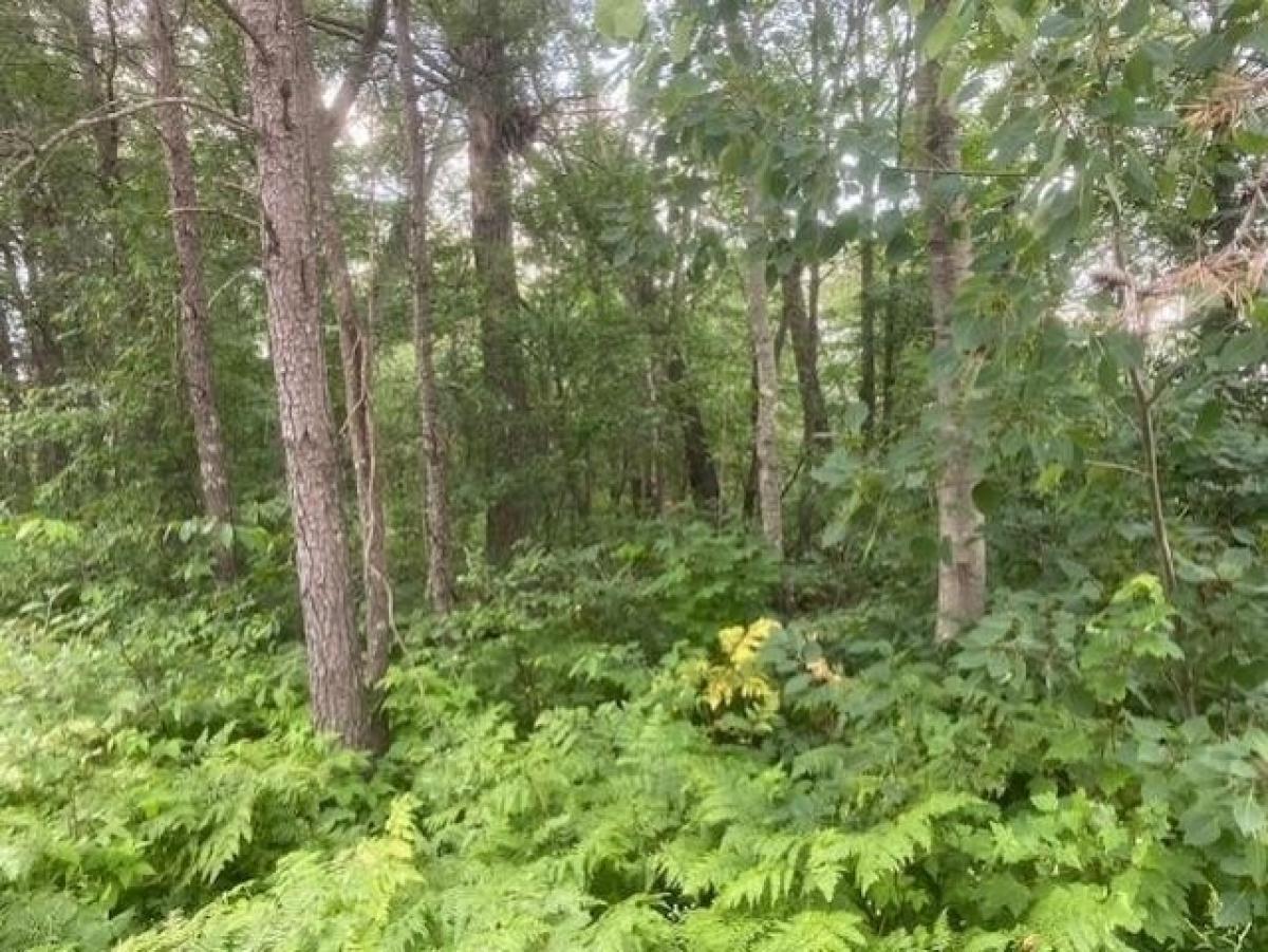 Picture of Residential Land For Sale in Stevens Point, Wisconsin, United States