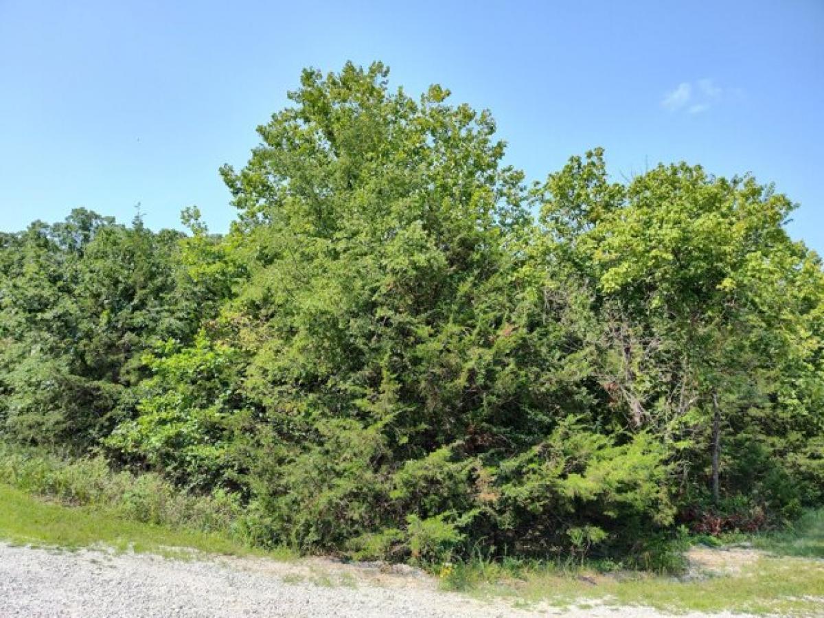 Picture of Residential Land For Sale in Flemington, Missouri, United States