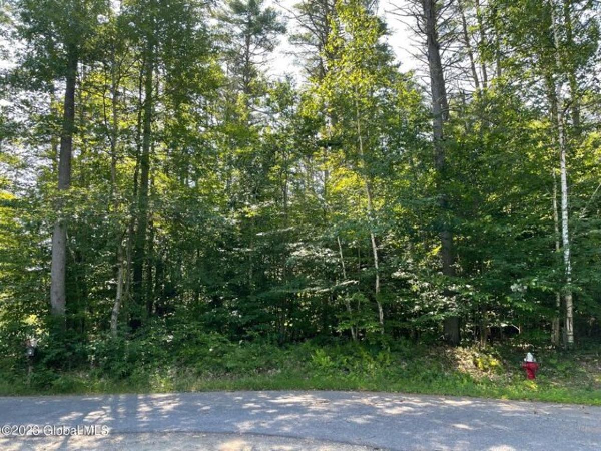 Picture of Residential Land For Sale in Lake Luzerne, New York, United States