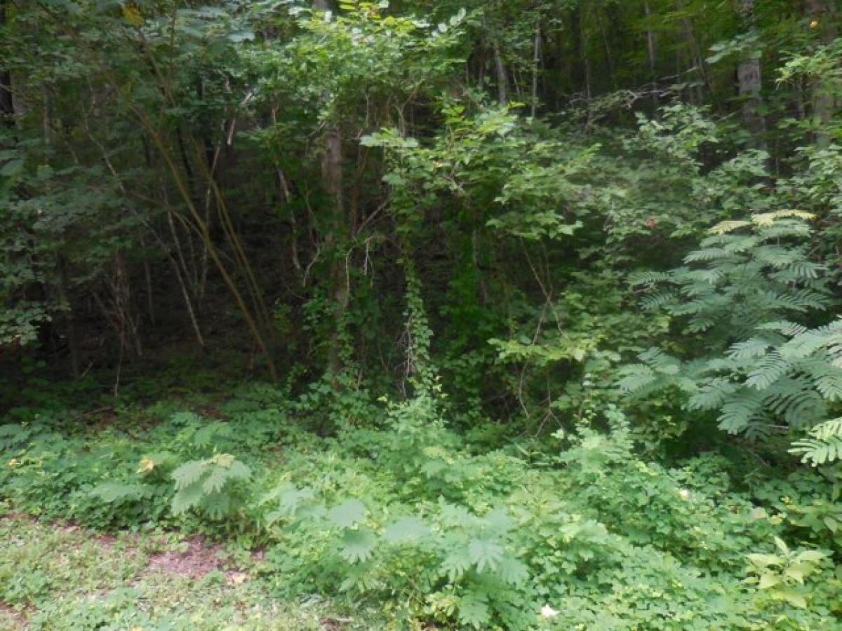 Picture of Residential Land For Sale in Gatlinburg, Tennessee, United States